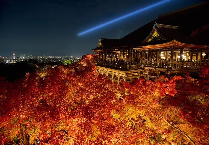 Kiyomizu-dera's main hall above illuminated red autumn foliage at night, with Kyoto city lights and a blue beam across the sky.