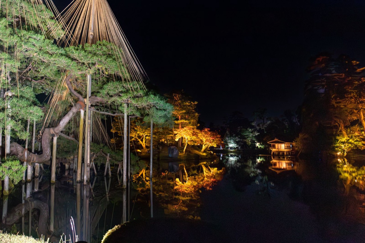 Kenrokuen at night in November 2022, with a supported pine, illuminated autumn trees and buildings reflected in the pond.