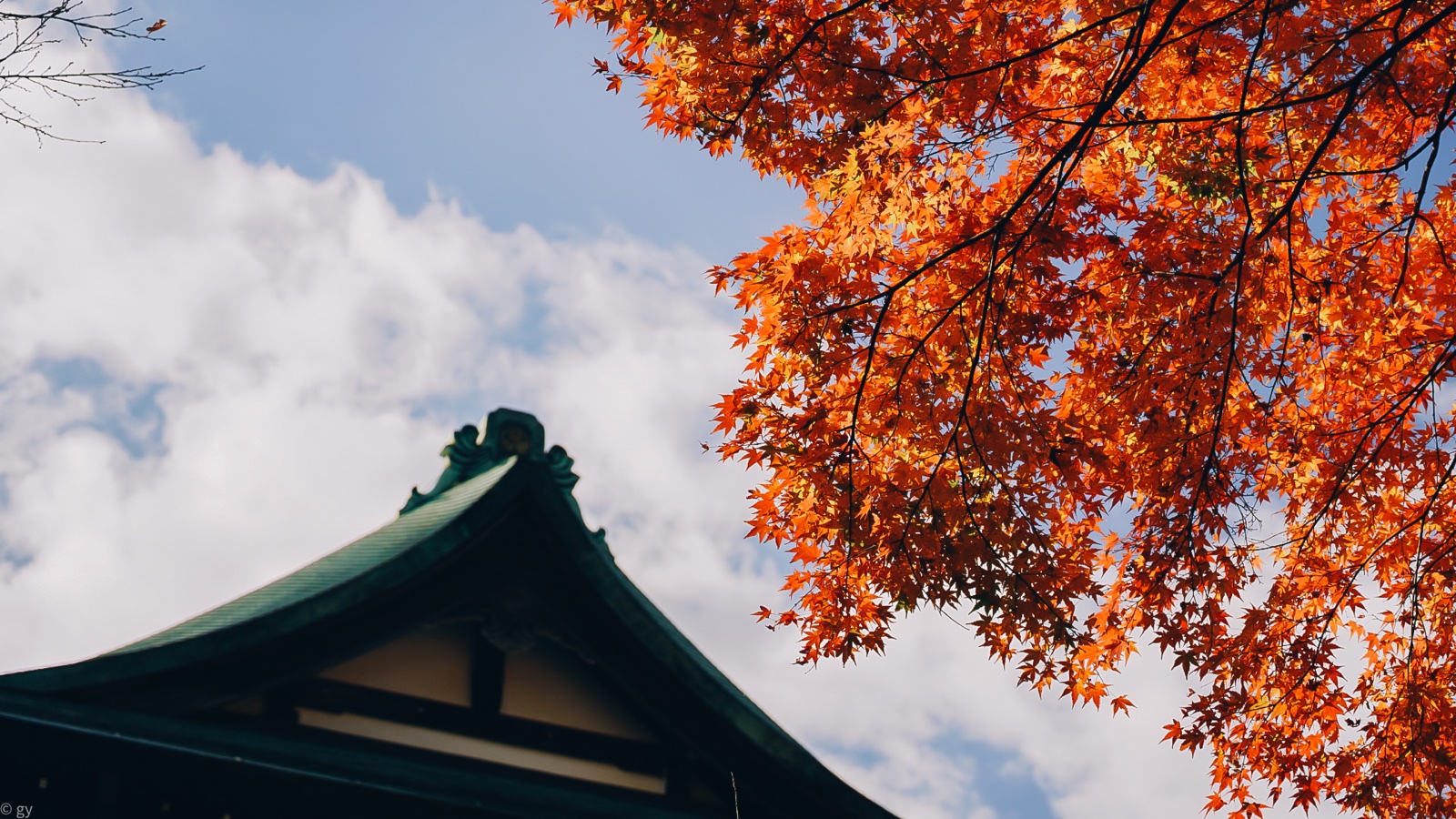 Orange autumn maple leaves above a temple roof at Mount Takao.