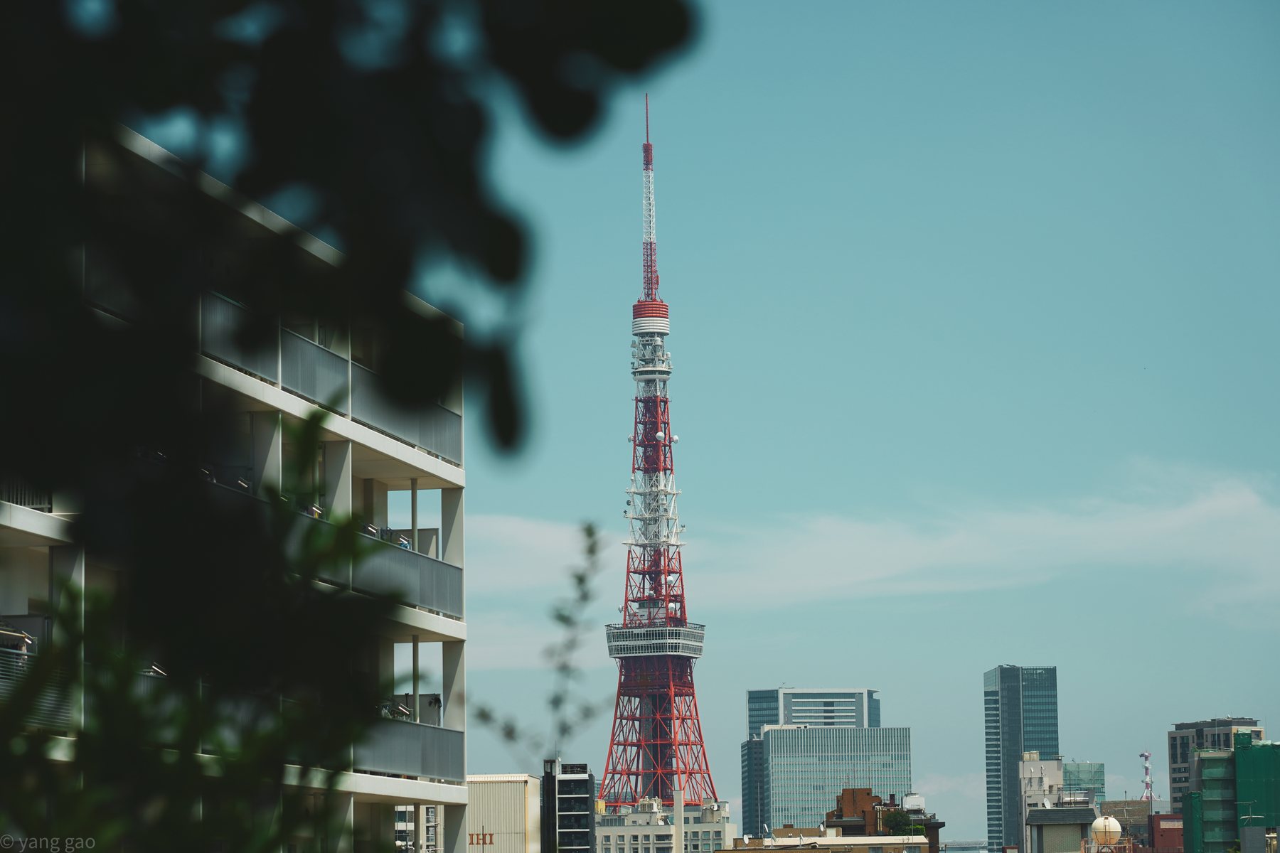 Tokyo Tower seen through a calm city street frame.